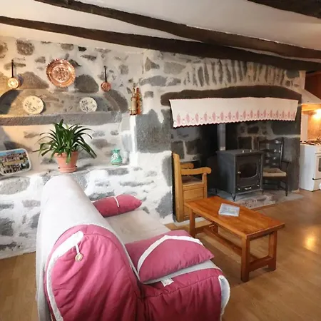 Maison De Charme Avec Jardin Pres De Salers, Ideale Pour 2 Pers, Cheminee, Animaux Acceptes, Draps Inclus - Fr-1-742-85 بيت للعطل